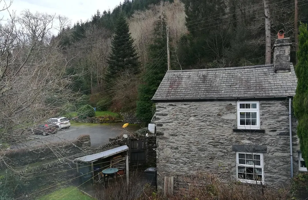 Aberconwy House B&B-1